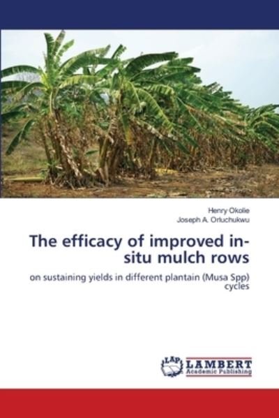 Cover for Okolie · The efficacy of improved in-situ (Buch) (2019)