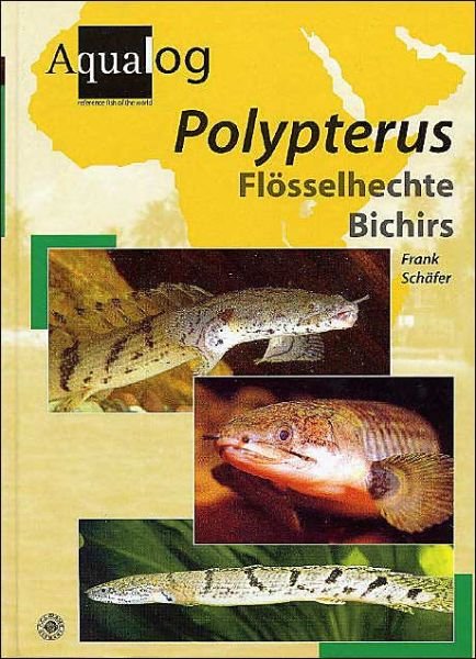 Cover for Frank Schäfer · Aqualog Polypterus (Paperback Bog) (2004)