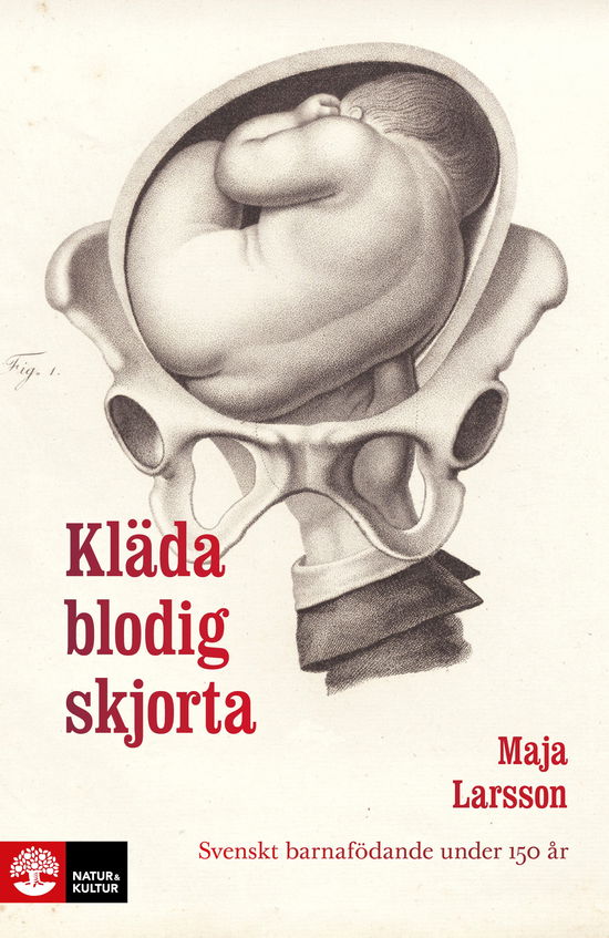 Cover for Maja Larsson · Kläda blodig skjorta : svenskt barnafödande under 150 år (Paperback Book) (2024)