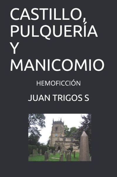 Cover for Juan Trigos S · Castillo, Pulqueria Y Manicomio (Paperback Book) (2020)