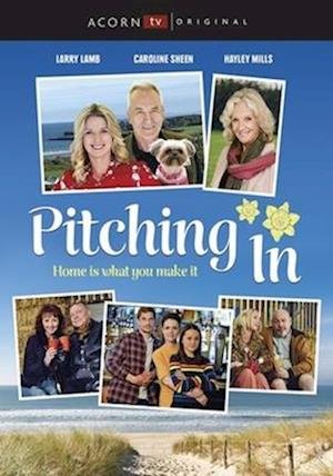 Cover for Pitching in DVD (DVD) (2019)
