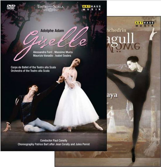 Cover for Adolphe Adam / Rodion Schtschedrin · Giselle, Die Mowe (DVD) (2015)