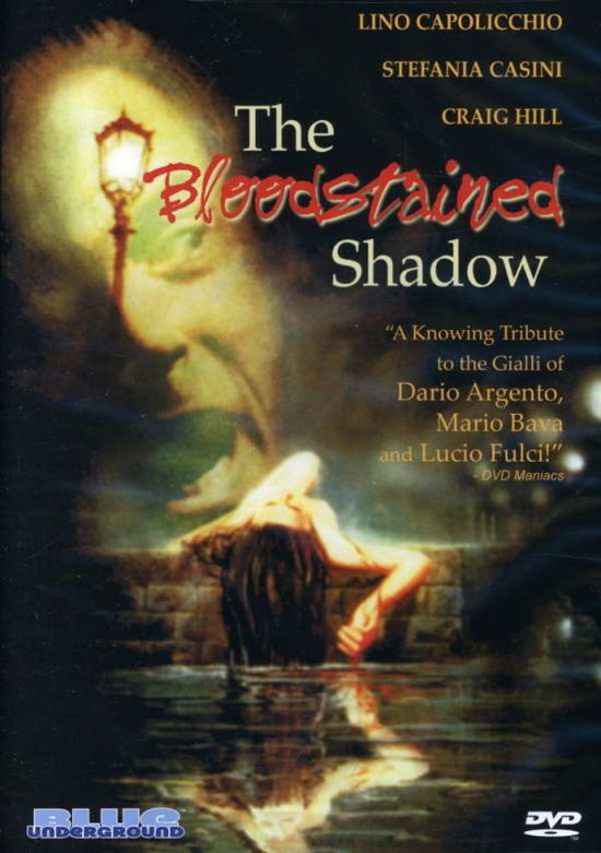 Bloodstained Shadow - Bloodstained Shadow - Movies - PARADOX ENTERTAINMENT GROUP - 0827058113397 - February 26, 2008