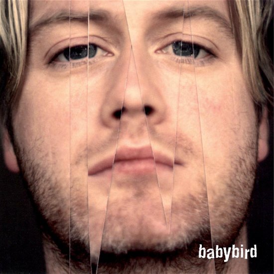 Cover for Babybird · Between the Ears There's (CD) (2014)