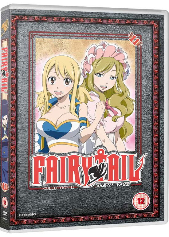 Fairy Tail - Part 11 - Manga - Elokuva - FUNIMATION - 5037899068397 - maanantai 13. helmikuuta 2017