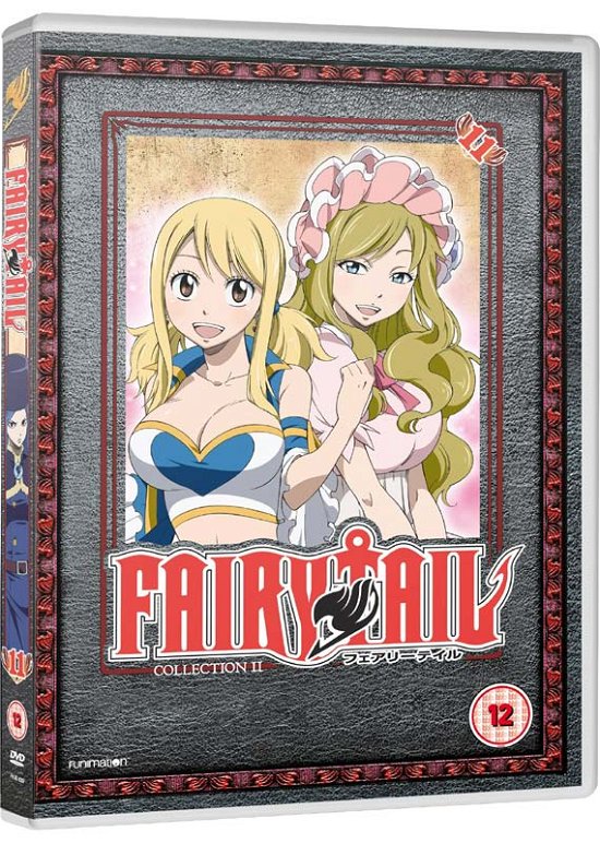 Cover for Manga · Fairy Tail - Part 11 (DVD) (2017)