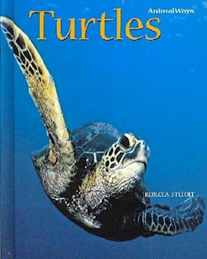 Cover for Rebecca Stefoff · Turtles (Hardcover Book) (2009)