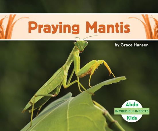 Cover for Grace Hansen · Praying Mantis (Hardcover Book) (2021)