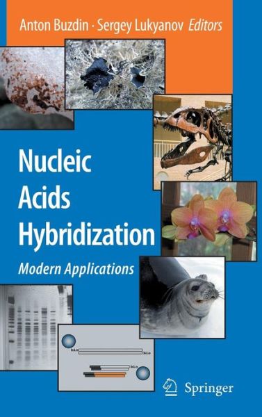 Cover for Anton Buzdin · Nucleic Acids Hybridization: Modern Applications (Hardcover Book) [2007 edition] (2007)