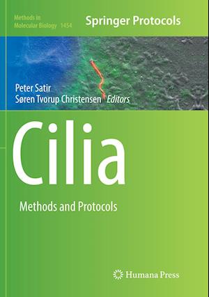 Cover for Cilia: Methods and Protocols - Methods in Molecular Biology (Paperback Book) [Softcover reprint of the original 1st ed. 2016 edition] (2018)