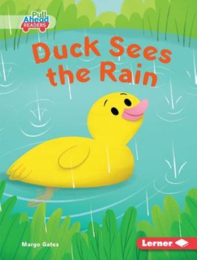 Duck Sees the Rain - Margo Gates - Books - Lerner Publishing Group - 9781541558397 - August 1, 2019