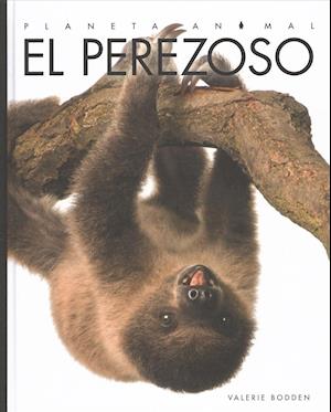 Cover for Valerie Bodden · El perezoso (Book) (2018)