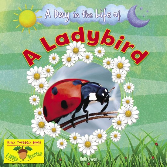 A Ladybird - A Day in the Life Of - Ruth Owen - Books - Ruby Tuesday Books Ltd - 9781788564397 - April 25, 2024