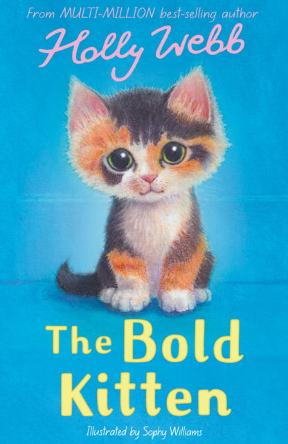 Cover for Holly Webb · The Bold Kitten - Holly Webb: Animal Stories (Taschenbuch) (2025)