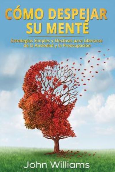 C mo Despejar Su Mente (Libro En Espa ol/ Declutter Your Mind Spanish Book Version) - John Williams - Livros - Independently Published - 9781793852397 - 10 de janeiro de 2019