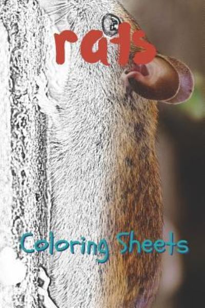 Rat Coloring Sheets - Julian Smith - Books - Independently Published - 9781797739397 - February 21, 2019