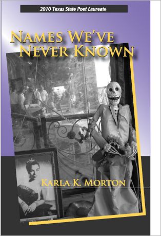 Cover for Karla K. Morton · Names We've Never Known (Paperback Book) (2010)