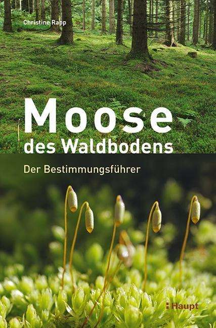 Moose des Waldbodens - Rapp - Books -  - 9783258081397 - 