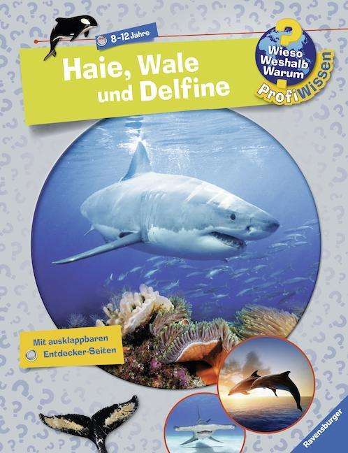 Haie, Wale und Delfine - Dela Kienle - Gadżety - Ravensburger Verlag GmbH - 9783473329397 - 