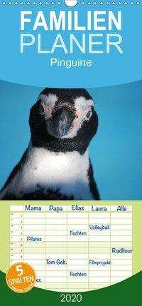 Cover for Groos · Pinguine 2020 - Familienplaner ho (Bog)