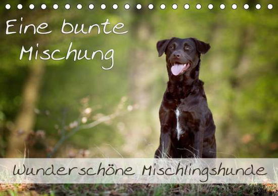 Cover for Noack · Eine bunte Mischung - wunderschön (Book)