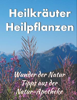 Cover for Helga Schilden · Heilkräuter/ Heilpflanzen (Paperback Book) (2019)