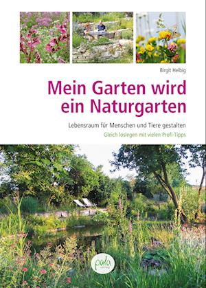 Cover for Birgit Helbig · Mein Garten wird ein Naturgarten (Book) (2024)