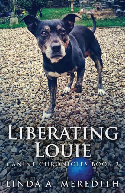 Cover for Linda a Meredith · Liberating Louie (Paperback Book) (2021)