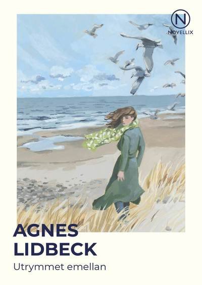 Utrymmet emellan - Agnes Lidbeck - Bøger - Novellix - 9789175896397 - 6. marts 2024