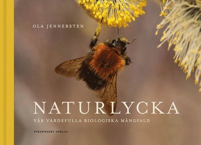 Naturlycka: vår värdefulla biologiska mångfald - Ola Jennersten - Books - Bazar Förlag - 9789189123397 - October 7, 2020