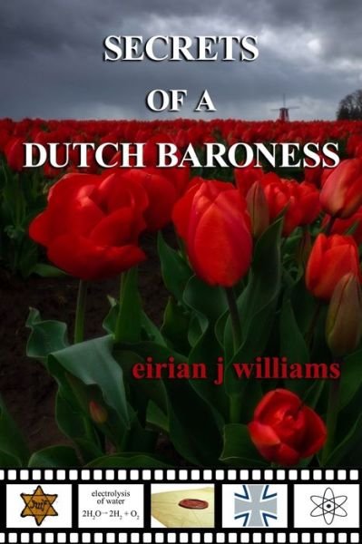 Cover for Eirian J Williams · Secrets of a Dutch Baroness (Paperback Bog) (2021)