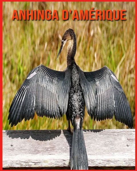 Cover for Alicia Moore · Anhinga d'Amerique (Paperback Book) (2021)