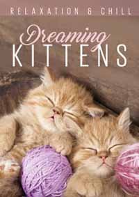Cover for Relax: Dreaming Kittens (DVD) (2016)