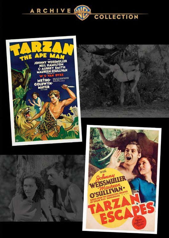 Cover for Tarzan the Ape Man / Tarzan Escapes (DVD) (2019)