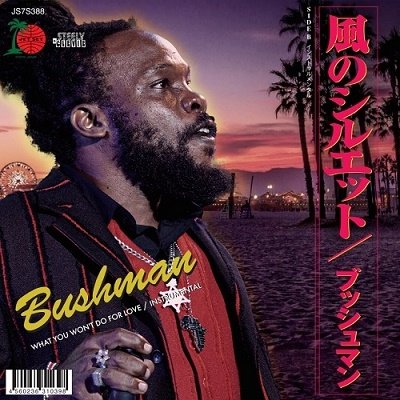 Cover for Bushman · What You Won't Do For Love (LP) [Japan Import edition] (2023)