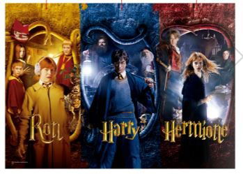 Cover for Harry Potter: Harry · Harry Potter Puzzle Harry, Ron &amp; Hermine (Toys) (2023)