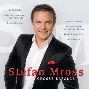 Cover for Stefan Mross · Grosse Erfolge (CD) (2013)