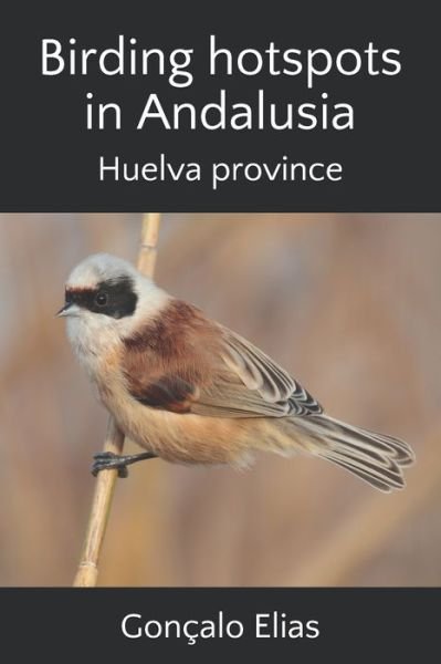Cover for Goncalo Elias · Birding hotspots in Andalusia (Pocketbok) (2019)
