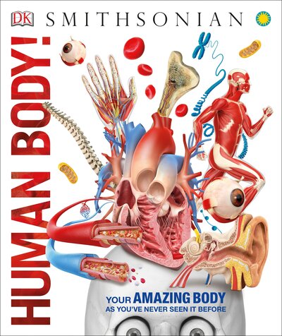 Cover for Dk · Human Body! - Knowledge Encyclopedias (Hardcover Book) (2017)