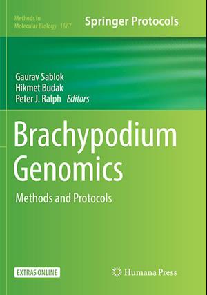Cover for Brachypodium Genomics: Methods and Protocols - Methods in Molecular Biology (Paperback Book) [Softcover reprint of the original 1st ed. 2018 edition] (2018)