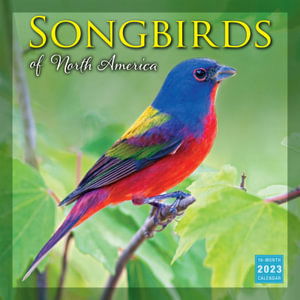 Cover for Sellers Publishing · Songbirds of North America - Wall 16 Month (Taschenbuch) (2022)