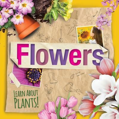 Cover for Steffi Cavell-Clarke · Flowers (Hardcover Book) (2017)