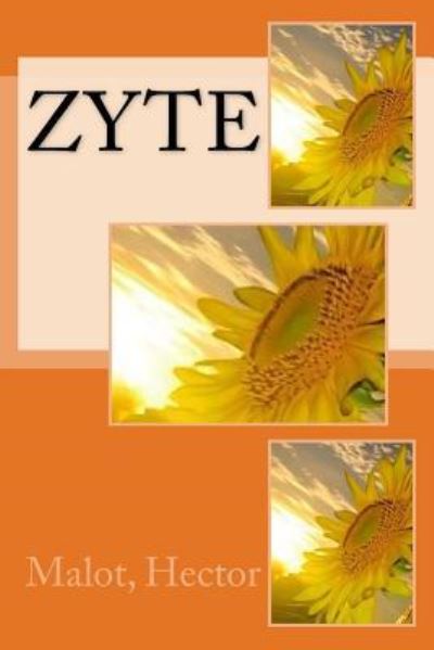 Cover for Malot Hector · Zyte (Paperback Book) (2017)