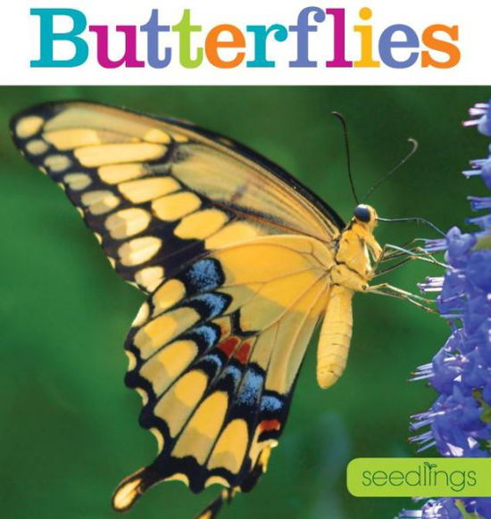 Cover for Aaron Frisch · Seedlings: Butterflies (Paperback Book) (2015)