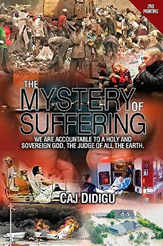 Cover for Caj Didigu · The Mystery of Suffering (Paperback Bog) [2nd edition] (2014)