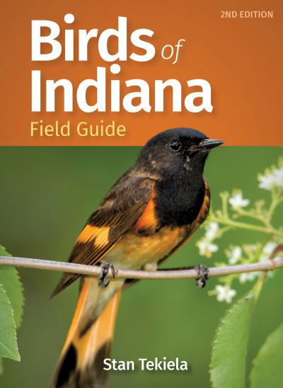 Birds of Indiana Field Guide - Bird Identification Guides - Stan Tekiela - Livros - Adventure Publications, Incorporated - 9781647552398 - 23 de junho de 2022