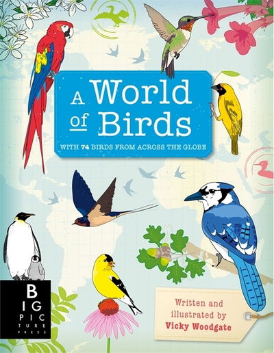 Cover for Vicky Woodgate · A World of Birds - A World of (Hardcover Book) (2018)
