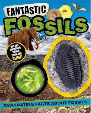 Cover for Laura Baker · Non-Fiction Books Fantastic Fossils (Book) (2023)