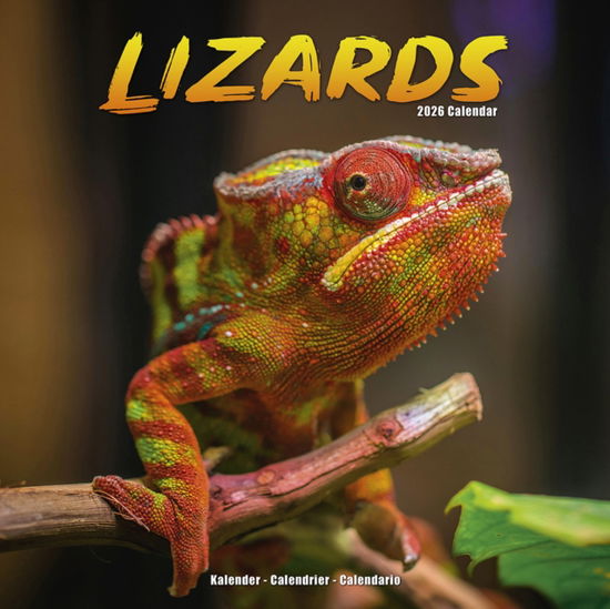 Cover for Lizards Calendar 2026  Square Animal Wall Calendar - 16 Month (Calendar) (2025)