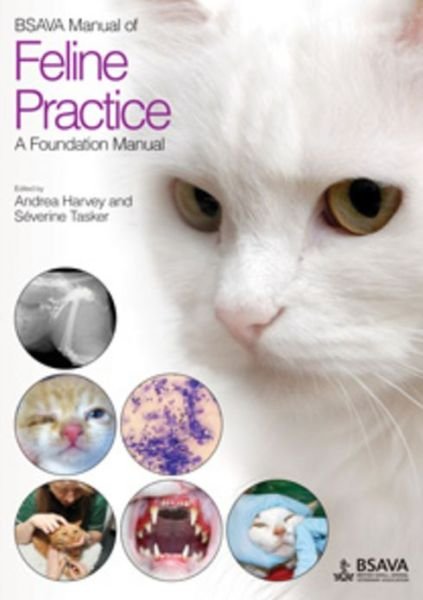 Cover for Harvey, Andrea (epartment of Clinical Veterinary Science, University of Bristol, UK) · BSAVA Manual of Feline Practice: A Foundation Manual - BSAVA British Small Animal Veterinary Association (Pocketbok) (2013)